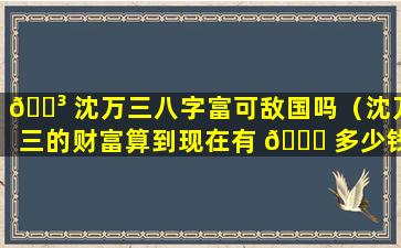 🌳 沈万三八字富可敌国吗（沈万三的财富算到现在有 🐟 多少钱）